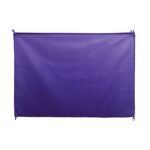 MP2895590 bandera morado poliester 170d 1