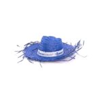 MP2901560 sombrero azul paja 5