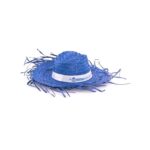 MP2901560 sombrero azul paja 6