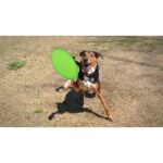 MP2905340 frisbee verde poliester 4