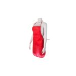 MP2907280 delantal rojo non woven 2