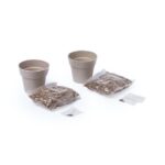 MP2921250 set macetas transparente macetero biodegradable 2