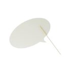 MP2921920 selfie transparente 2