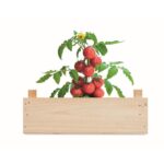 MP3250500 mini huerto tomates en caja natural madera 3