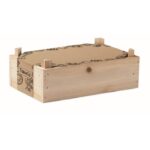 MP3250500 mini huerto tomates en caja natural madera 8
