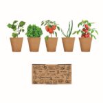 MP3250510 kit de cultivo de verduras beige carton 1
