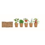 MP3250510 kit de cultivo de verduras beige carton 6