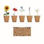 MP3250520 kit de cultivo de flores beige carton 1