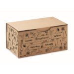 MP3250520 kit de cultivo de flores beige carton 4