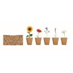 MP3250520 kit de cultivo de flores beige carton 5