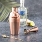 MP3290020 coctelera transparente acero inox 4