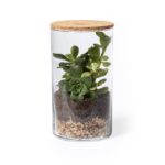 MP3291370 terrarium transparente cristal borosilicato corcho 3