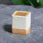MP3300010 altavoz transparente caamo organico madera 3