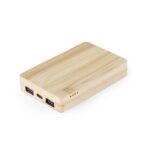 MP3340470 power bank transparente bambu 7