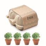 MP3422020 kit de cultivo en huevera beige papel 1