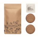 MP3422680 kit de cultivo de fresas beige papel 3